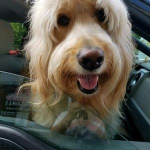 Meet your Posher, Marie